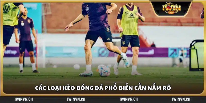 Tổng hợp các kèo bóng đá thông dụng hiện nay